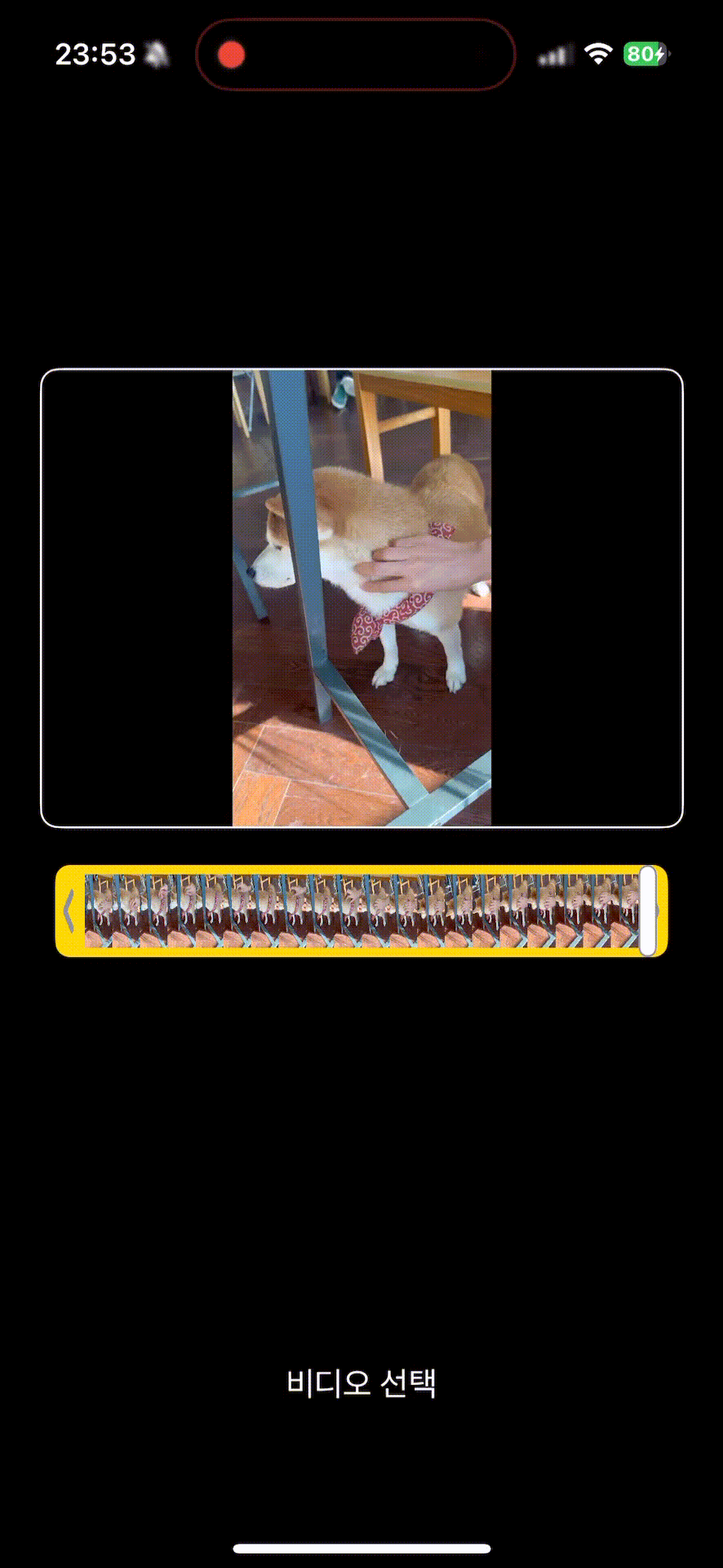 article thumbnail image