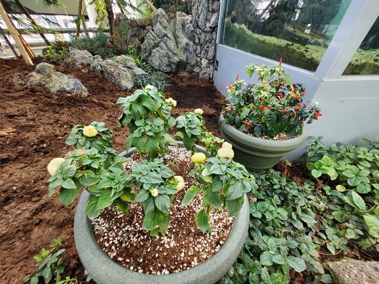 국립농업박물관