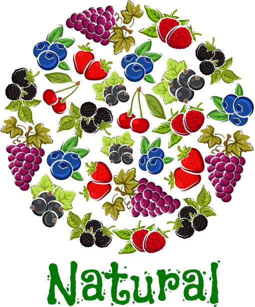 태양광과 스마트팜의 결합이 필요한 이유