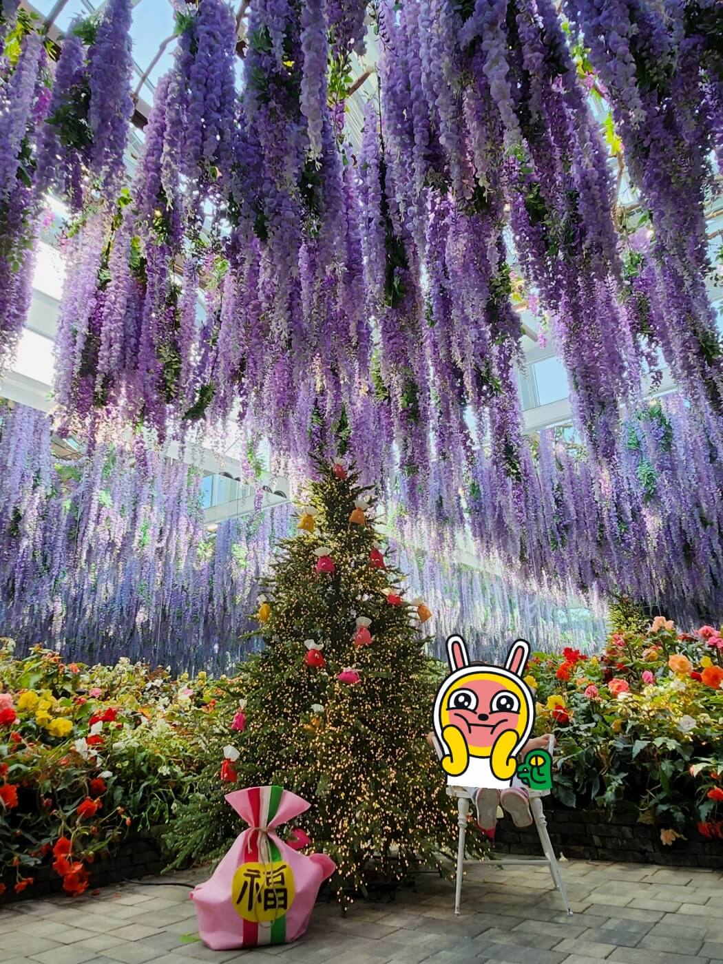 가평 베고니아 정원