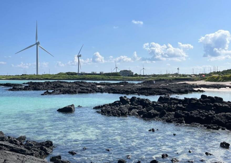 제주 반려견 겨울 나들이 명소, 강아지와 함께 걷기 좋은 산책 코스