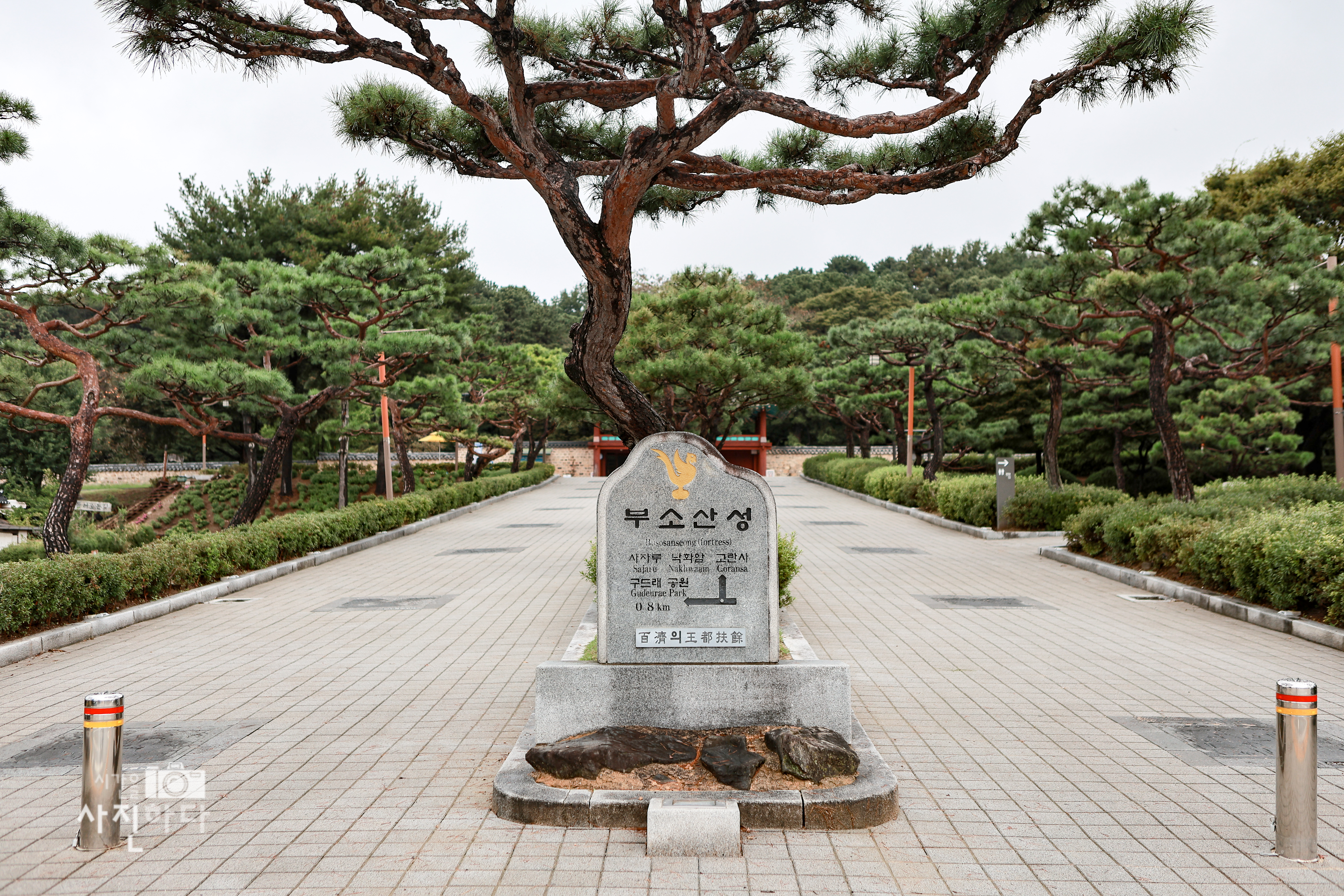 소나무 아래 기념비