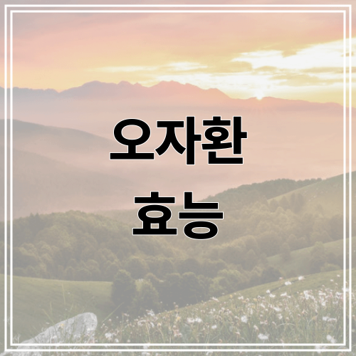 오자환 효능