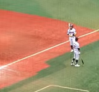 gold-lion-baseball