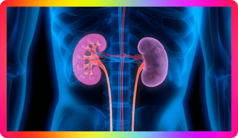 신부전증 증상 원인