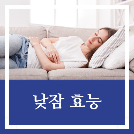 낮잠의 놀라운 효능