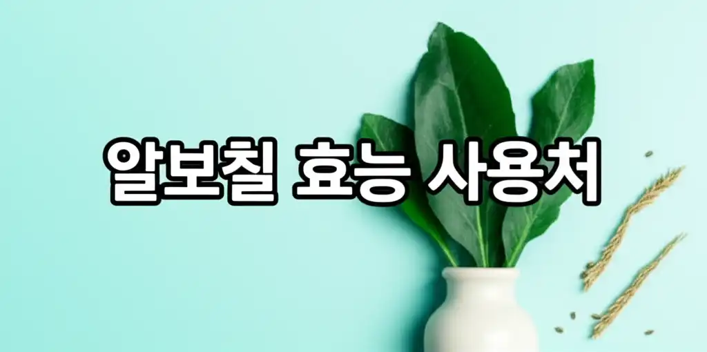 알보칠효능사용처_썸네일