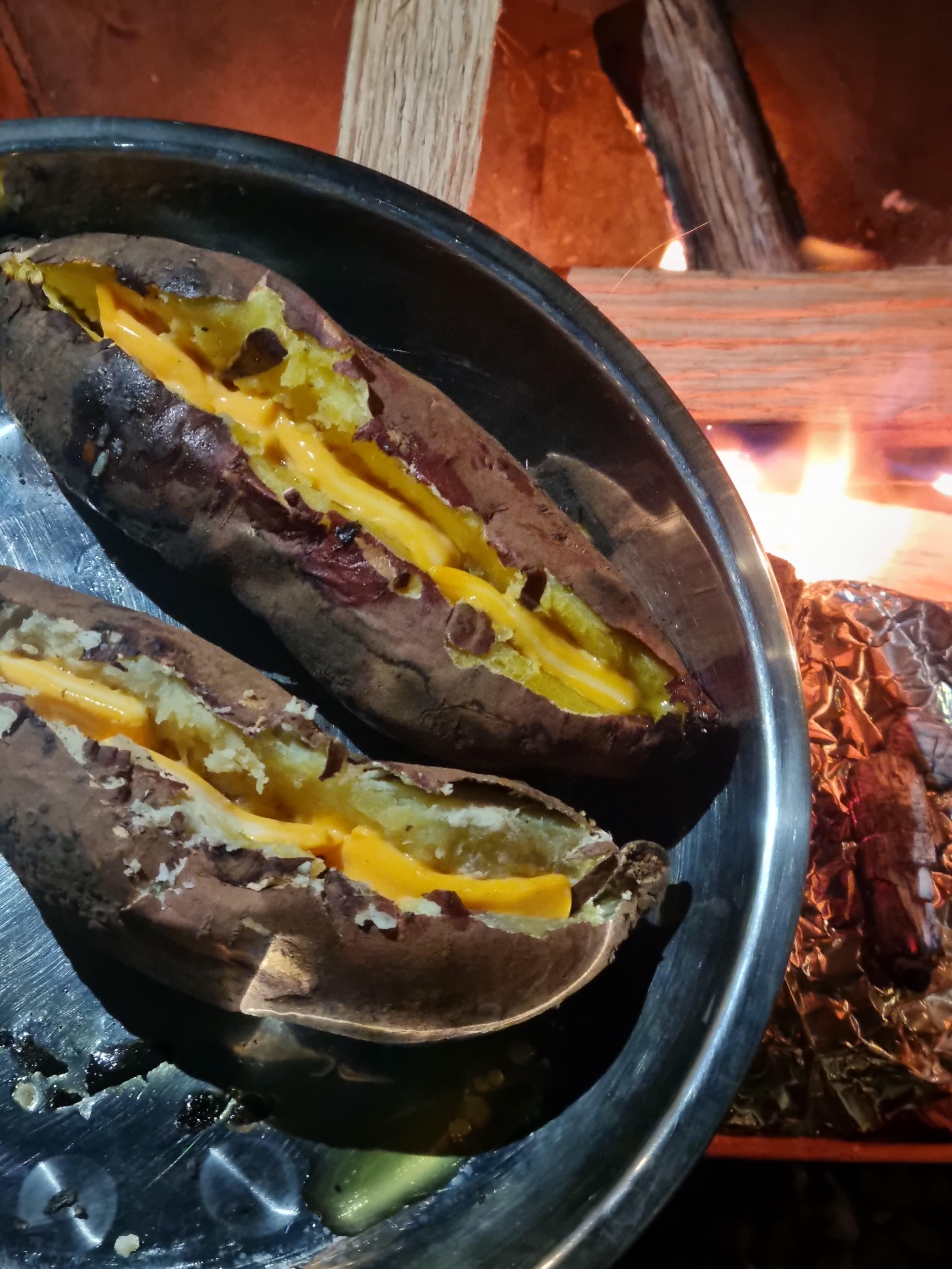 캠핑홀릭 캠핑장