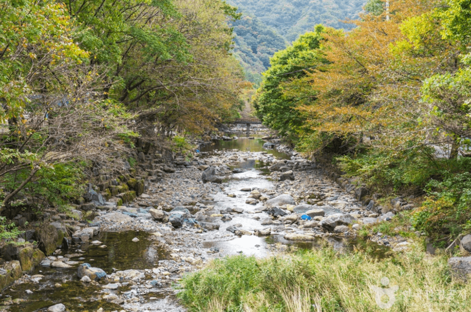 보령시 심연동계곡