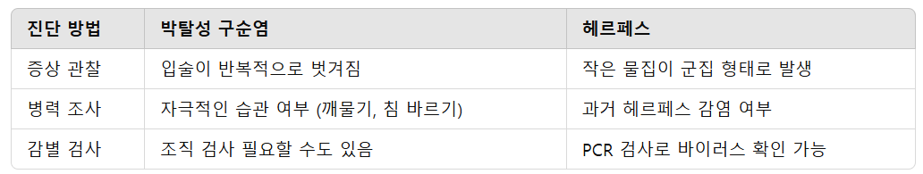 진단 방법과 감별 기준