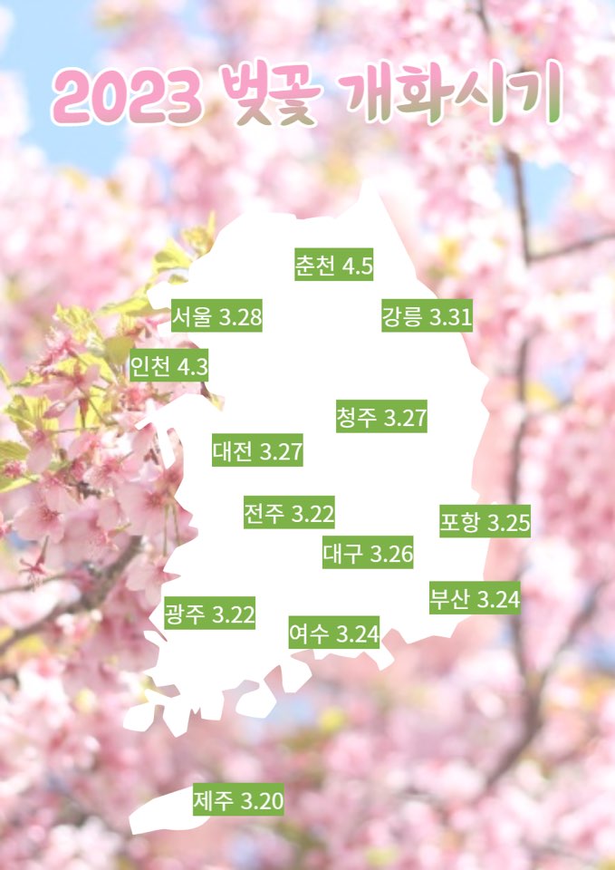 2023 진해군항제 벚꽃축제