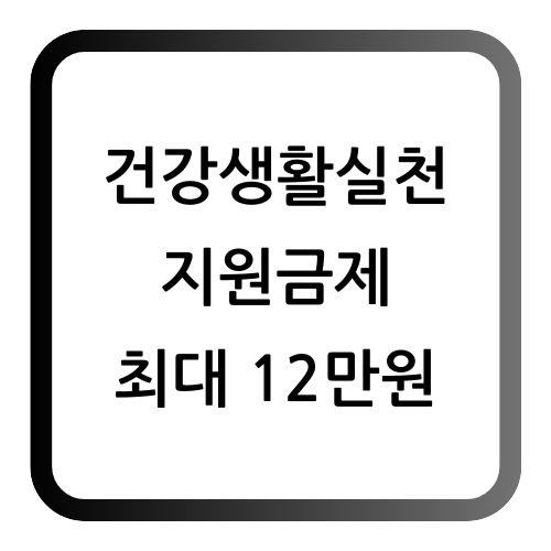 건강생활실천지원금제