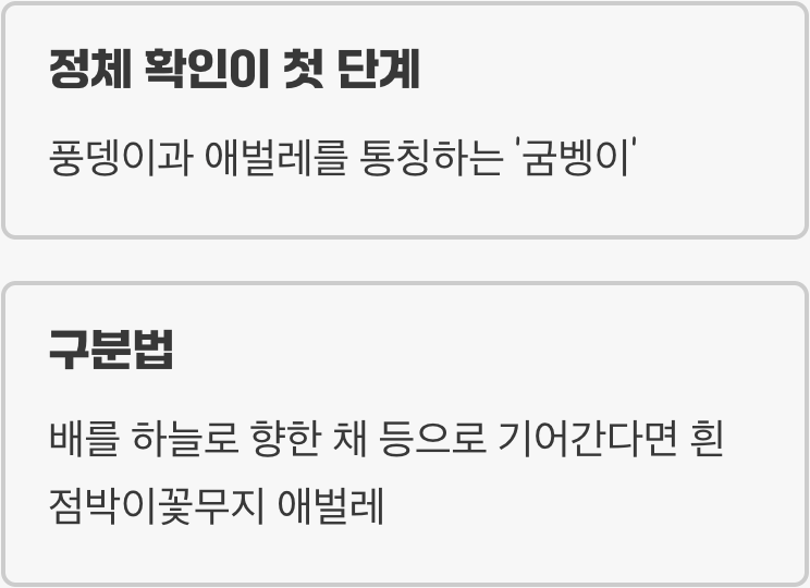 등으로 기어가는 진짜 굼벵이