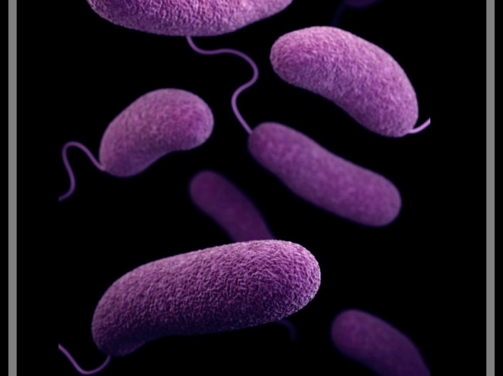 급성신우염: 증상, 원인 및 치료에 좋은 음식