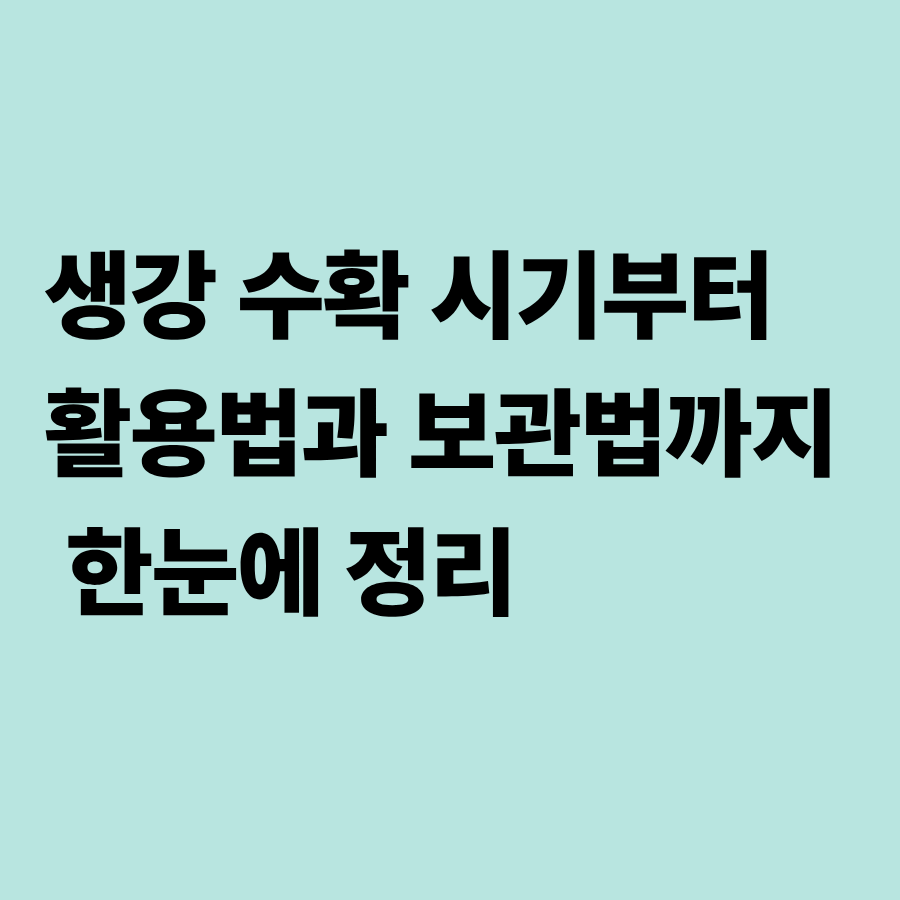 생강수확시기, 활용법, 보관법