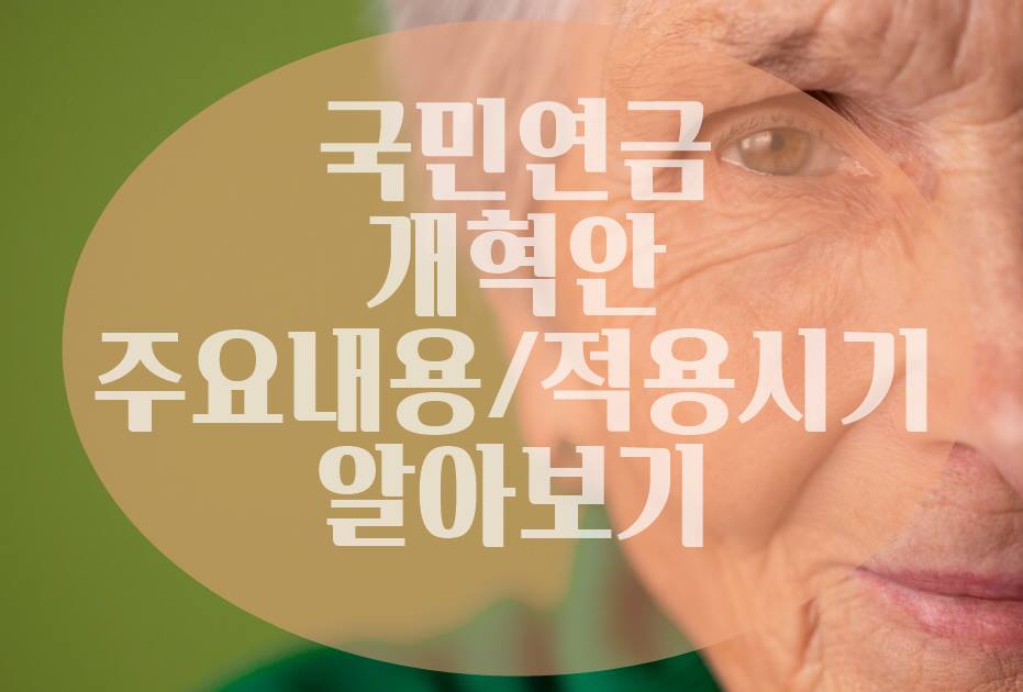 국민연금 개혁안 내용(적용시기)