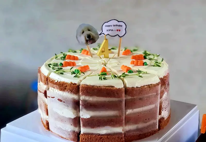 네모세모 원주 뮤지엄산 오크밸리 간현유원지 맛집 공연장 있는 크로와상 샌드위치 브런치 생크림 폭탄 카스테라 디저트 베이커리 맛있는 카페