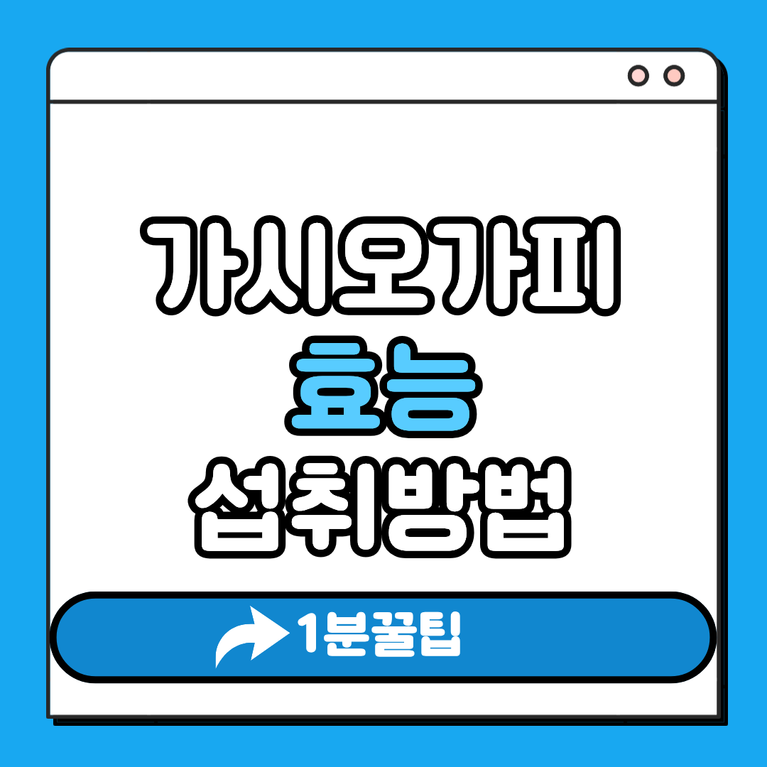 가시오가피 효능 섭취방법