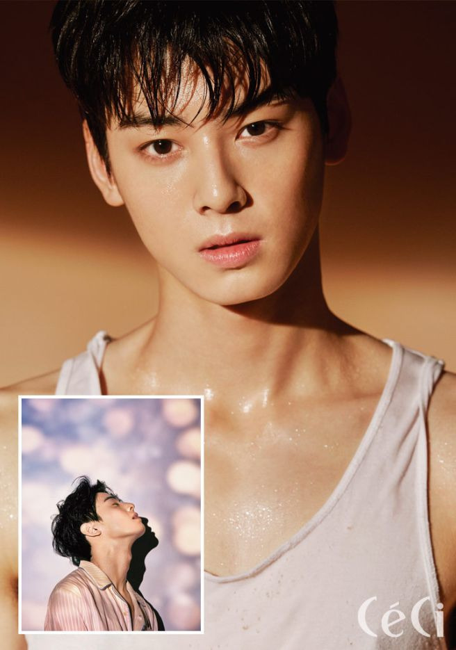 차은우 조세심판 청구 이유: 국세청 130억 세금 완납, 연예인 1인 기획사 실질과세 쟁점 정밀 분석