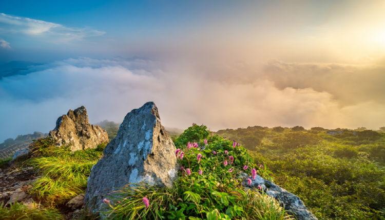 덕유산 등산코스