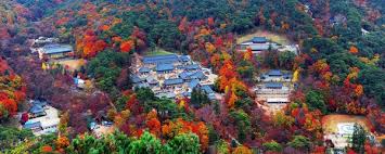 10월 경남 가볼만한곳 베스트