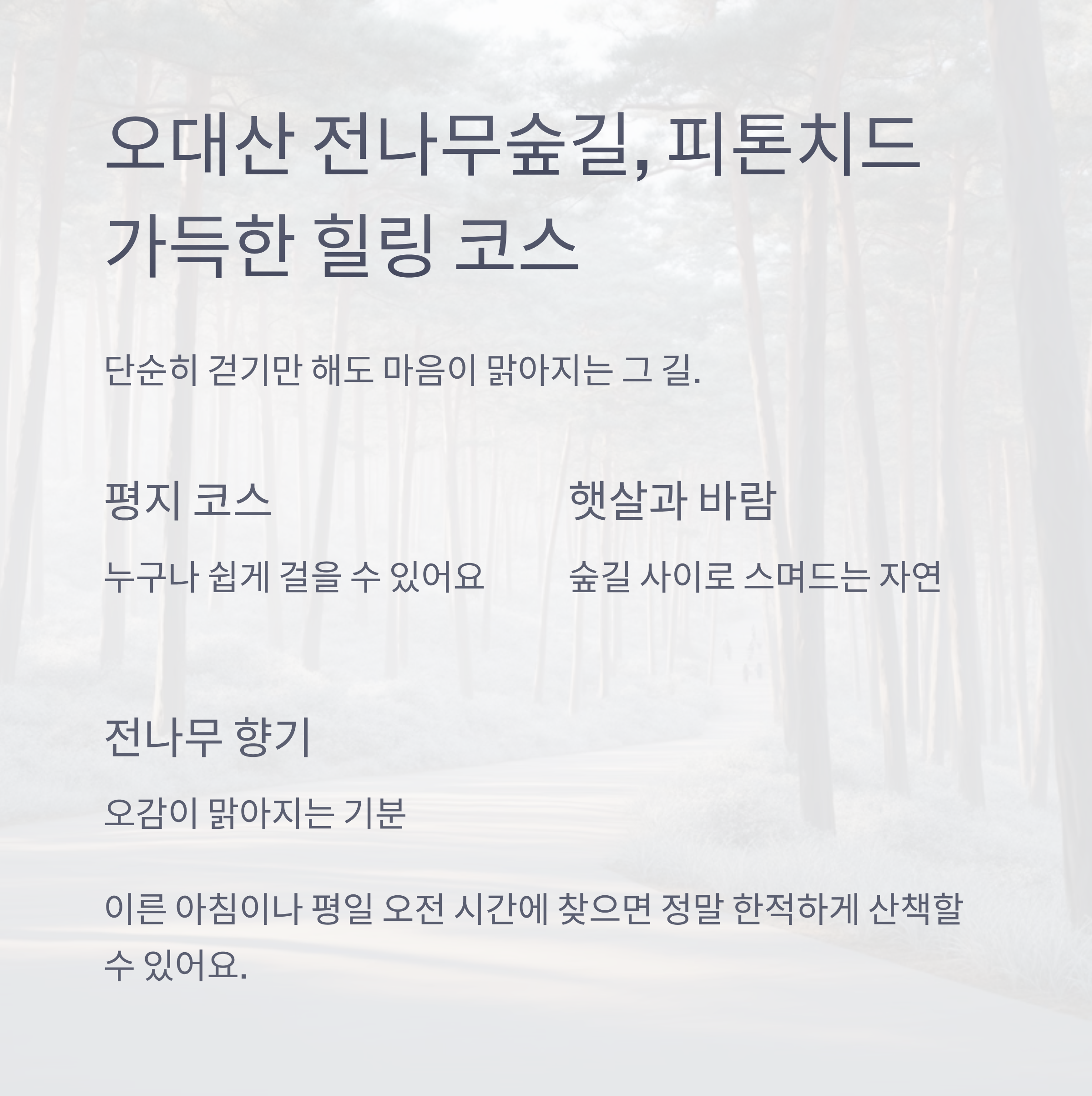 오대산 전나무숲길, 피톤치드 가득한 힐링 코스