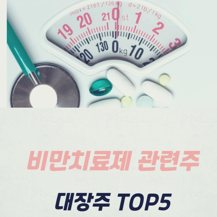비만치료제 관련주 대장주 테마주 수혜주 TOP5 : 경구용