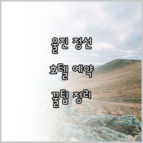 울진 정선 호텔 예약 꿀팁 가격 시설