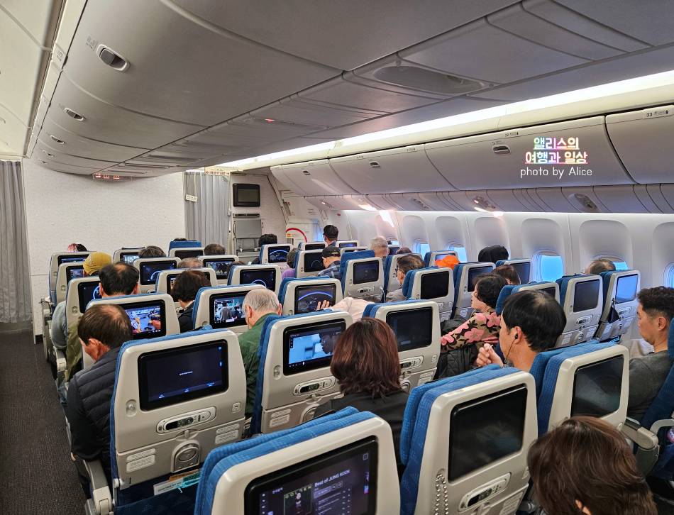 202403 부산 출발 내항기 / 인천 ICN - 시드니 SYD 대한항공 직항 후기