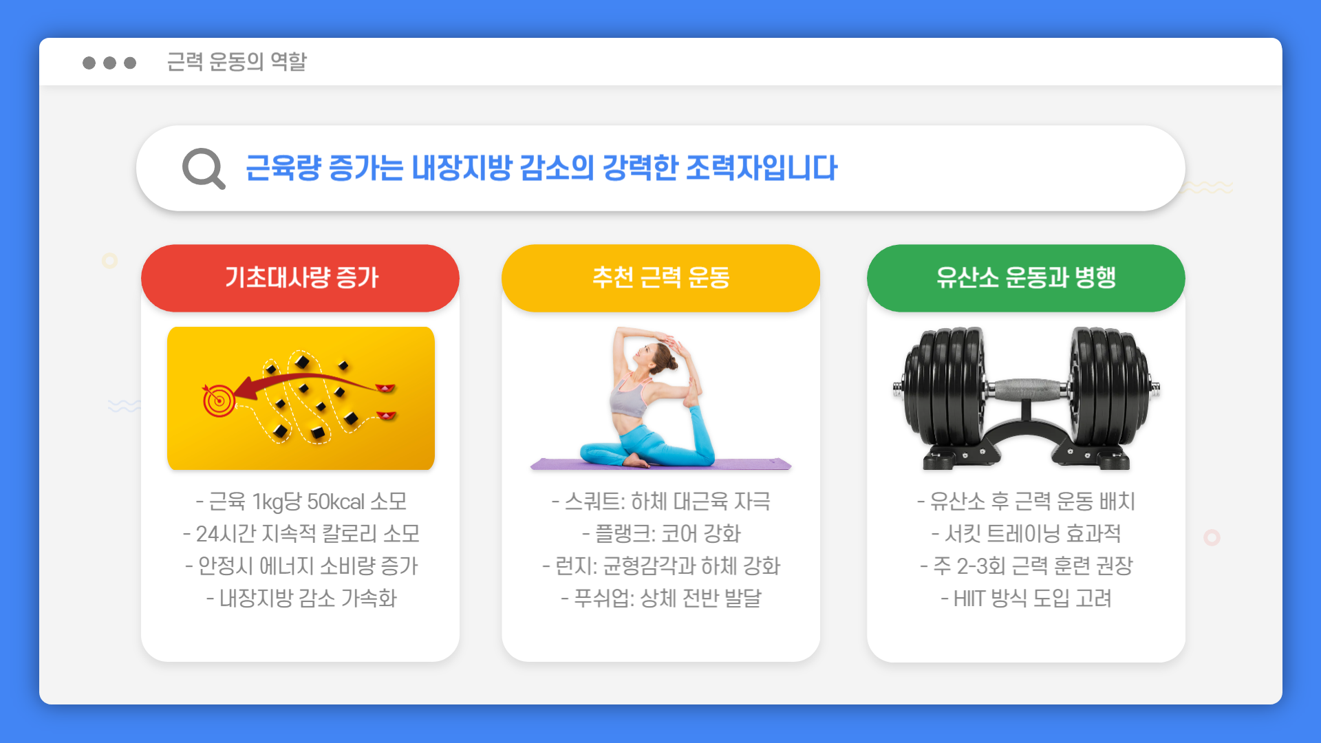 내장지방 빼는법 내장지방 빼는 운동 내장지방 빼는 약 내장지방 빼는 비결