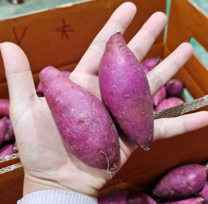 대가마을고구마 