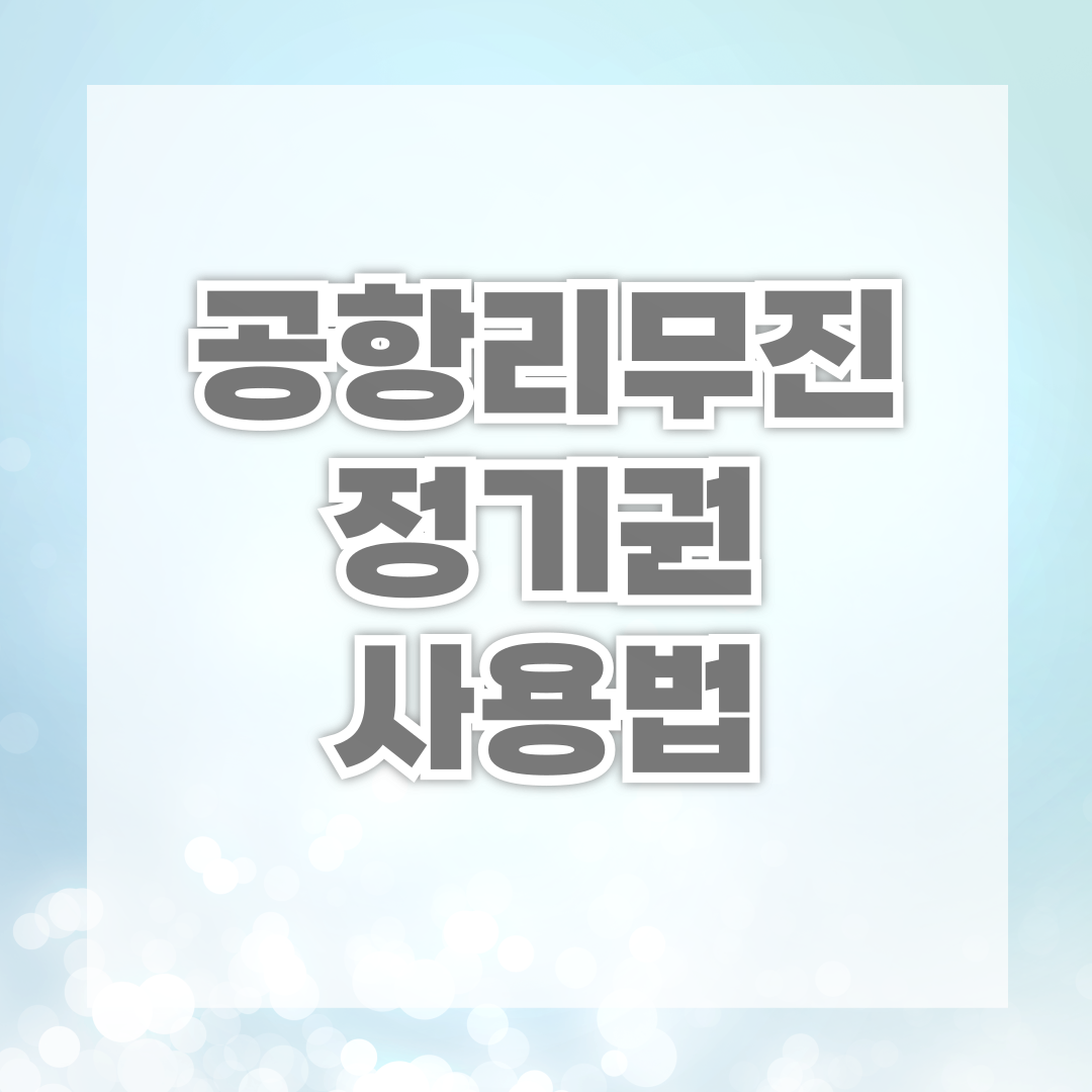 공항리무진 정기권 사용법