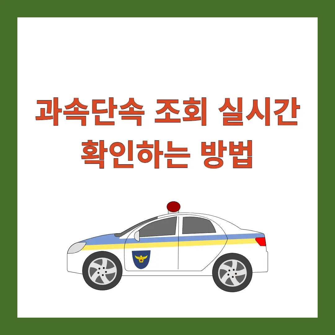 과속단속-조회