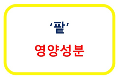 팥 영양성분