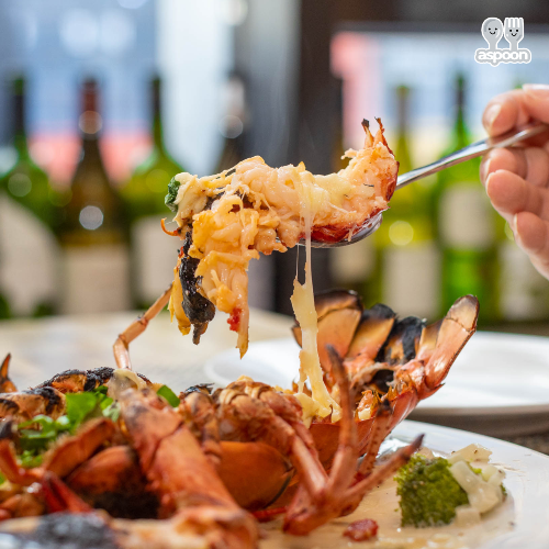 SBS 생방송 투데이 원주 혁신도시 돌스테이크 베니니