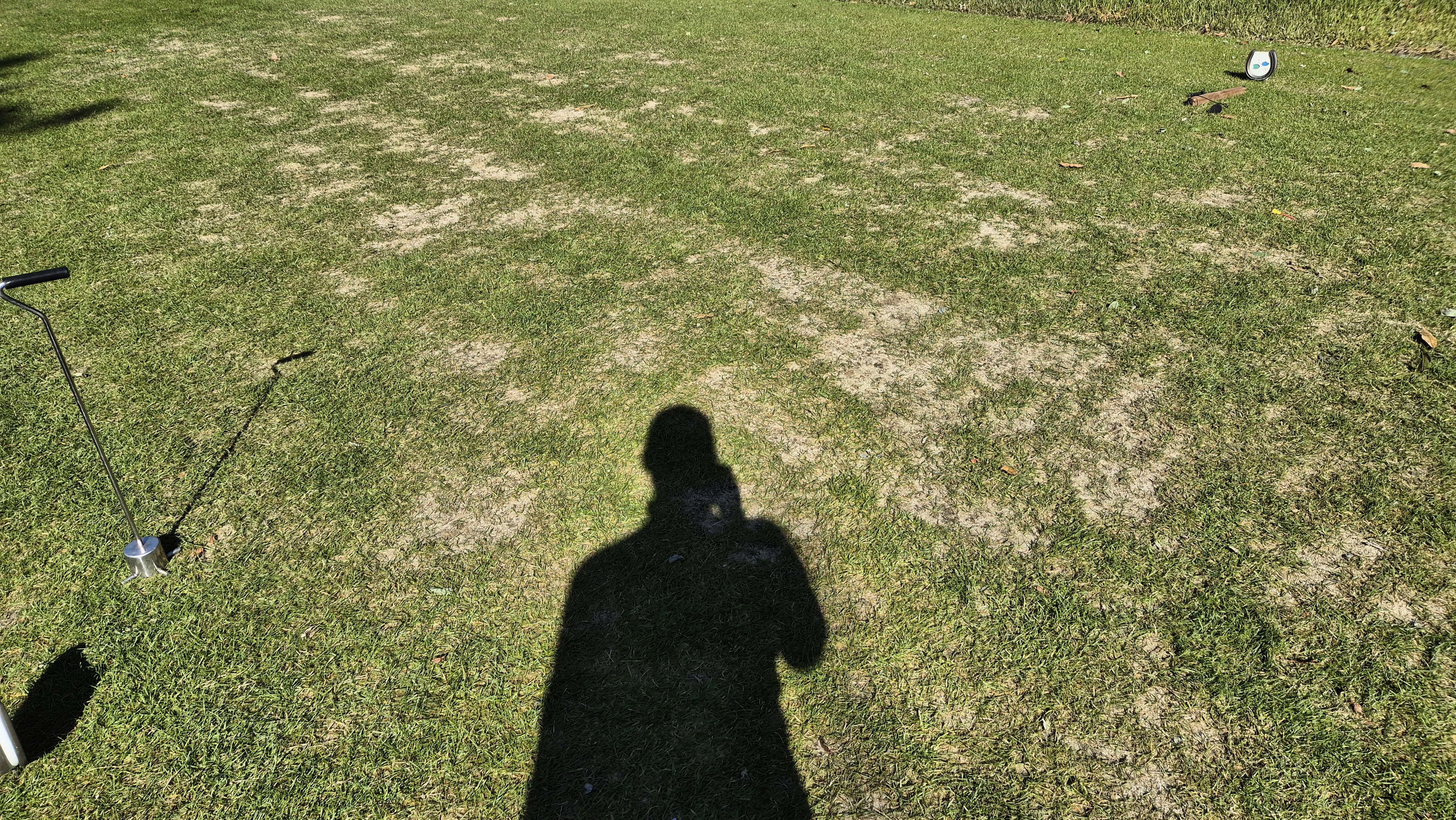 동촌gc 티잉구역 상태