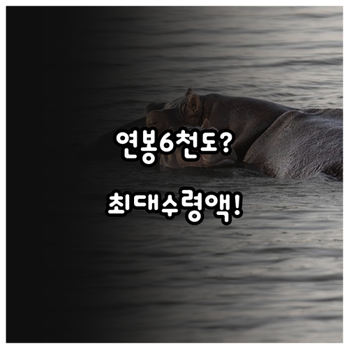 연봉 6천만 원 가구 자녀장려금 수령..