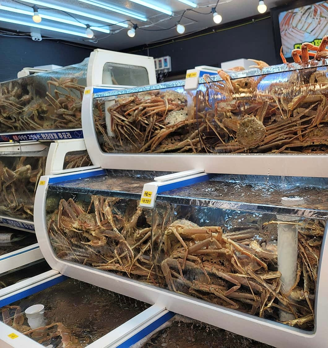 울진 후포항 맛집 추천