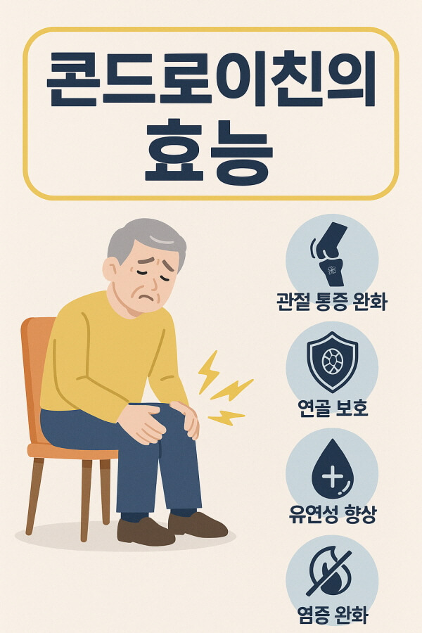 콘드로이친 효능 완전 정리/gpt