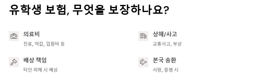 유학생 보험 - 유학 중 발생할 수 있는 의료·사고·법률 문제를 대비