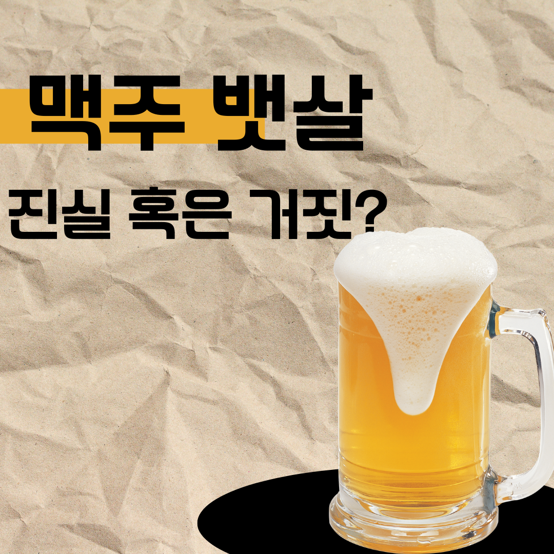 맥주 뱃살, 진실 혹은 거짓?