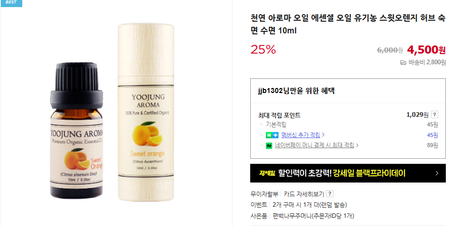 유칼립투스 키우기 및 오일 추천 (+ 효능 나무 수경 재배)