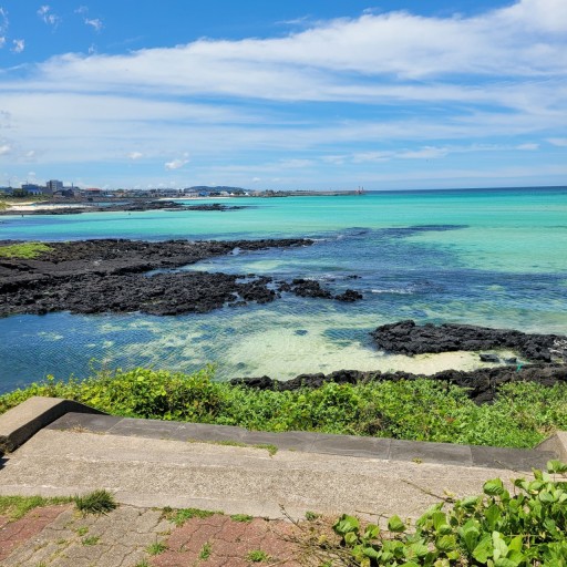 여름 휴가 제주도