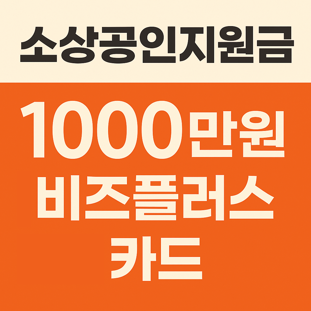 소상공인 비즈플러스카드