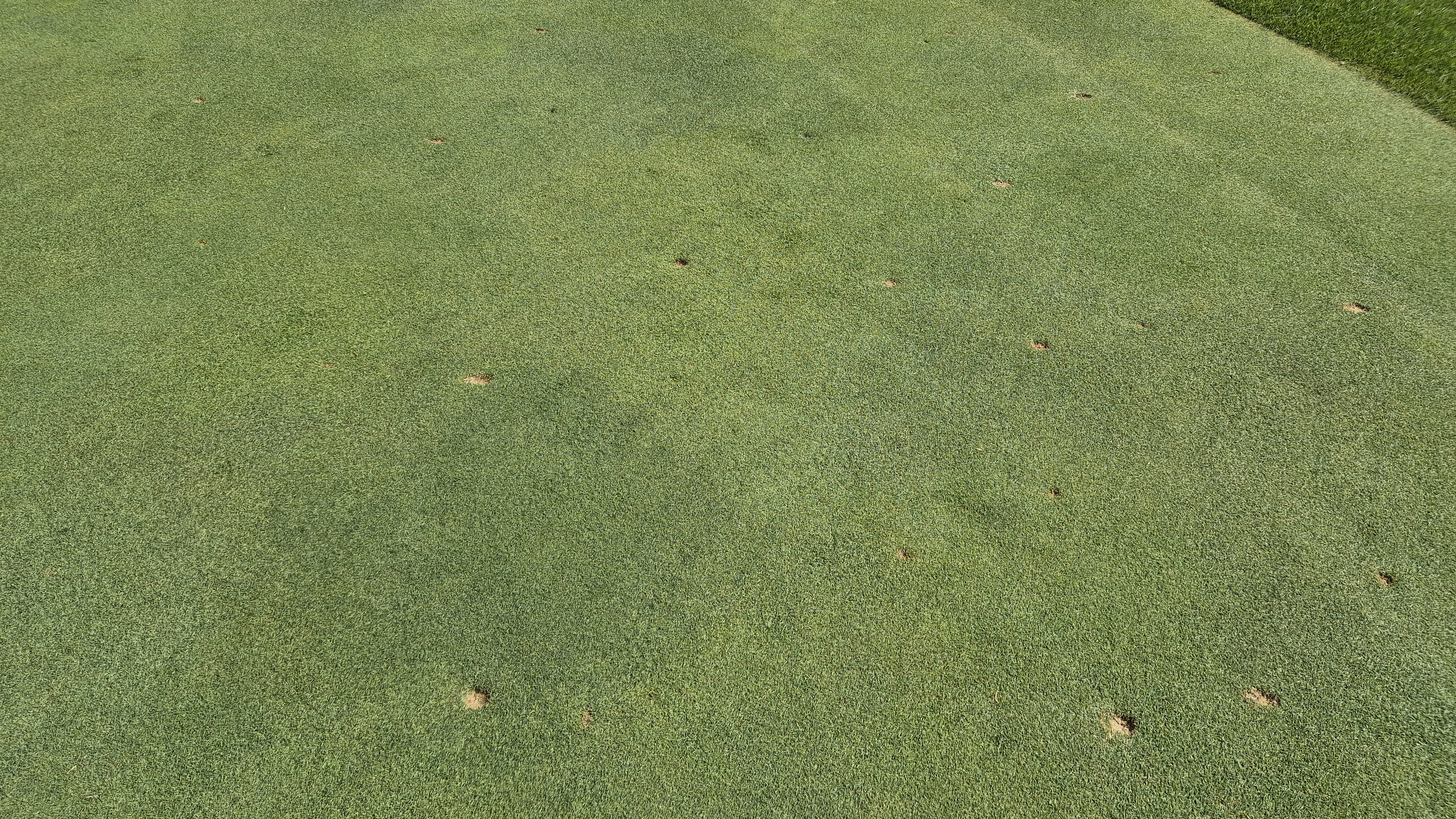 태광cc 북-서 코스 라운드 후기