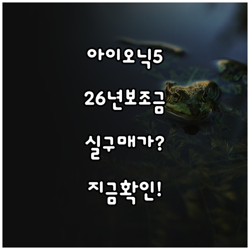 아이오닉 5 2WD 롱레인지 20인치..