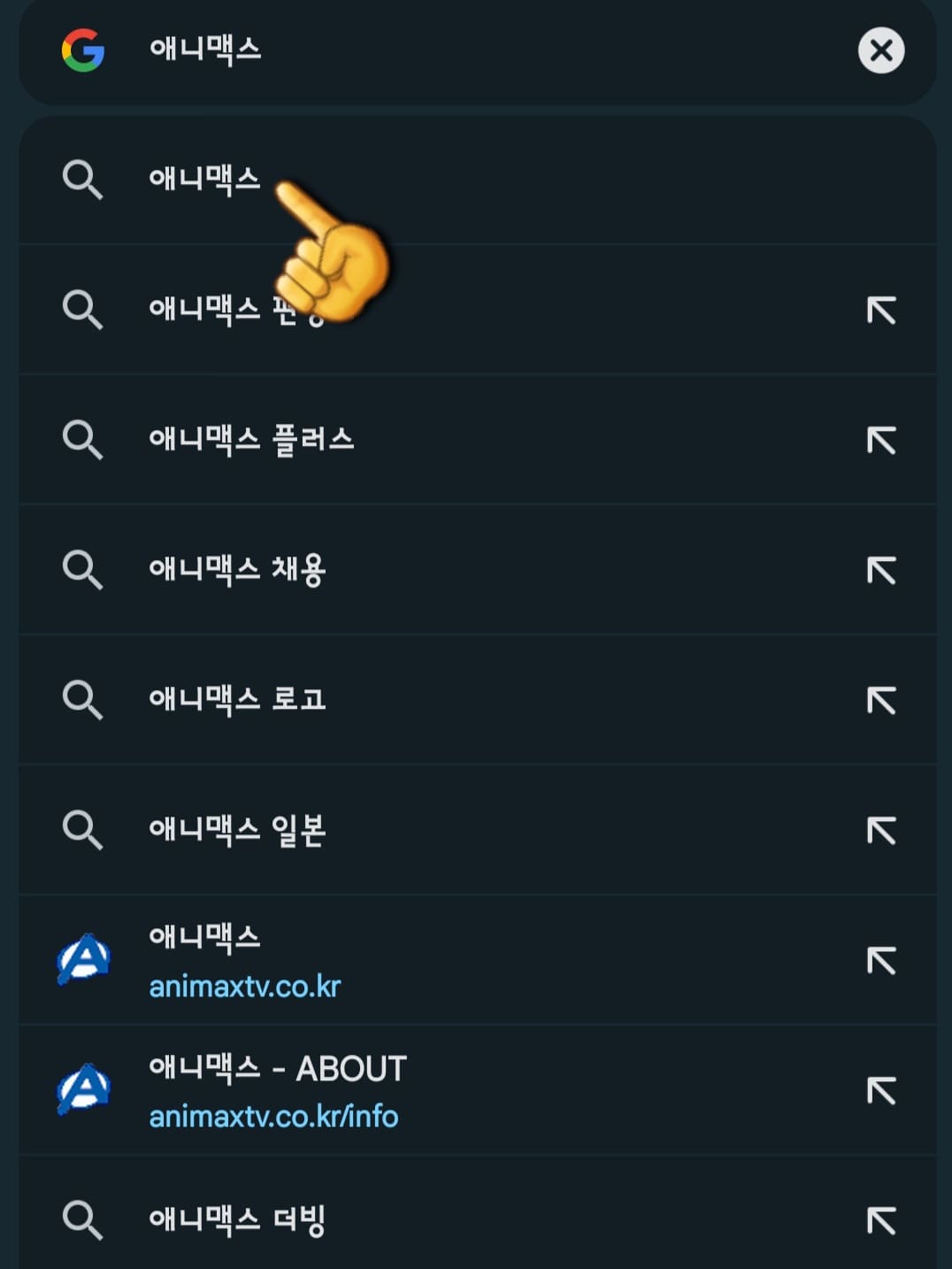 애니맥스-채널번호-확인하는-방법-안내-다음&amp;#44;-네이버&amp;#44;-구글-포털-사이트에서-애니맥스-또는-ANIMAX을-입력한-다음&amp;#44;-검색합니다.