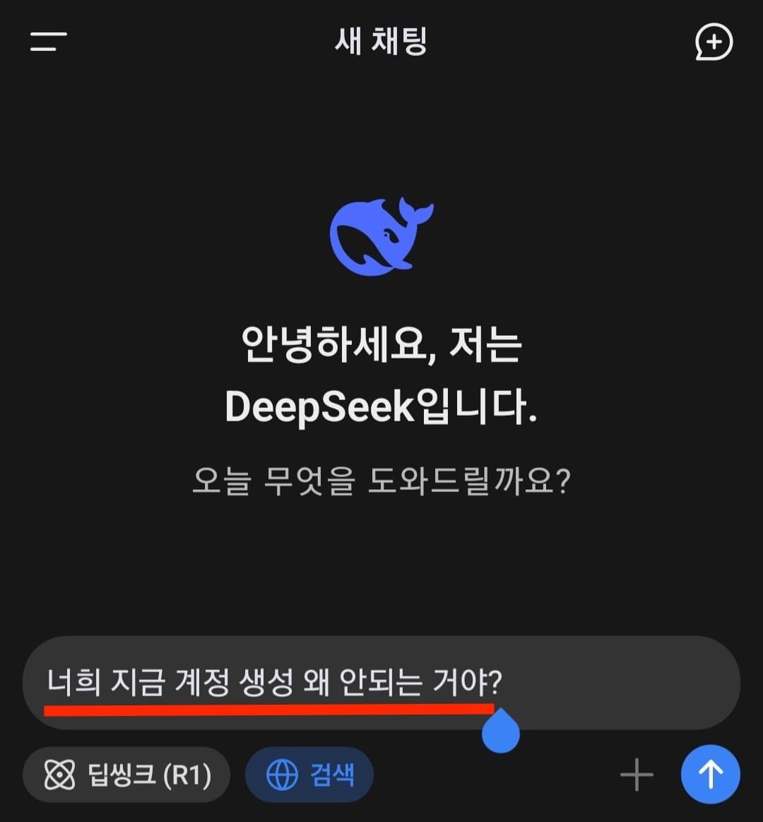 모바일 딥시크 앱 프롬프트 입력한 모습