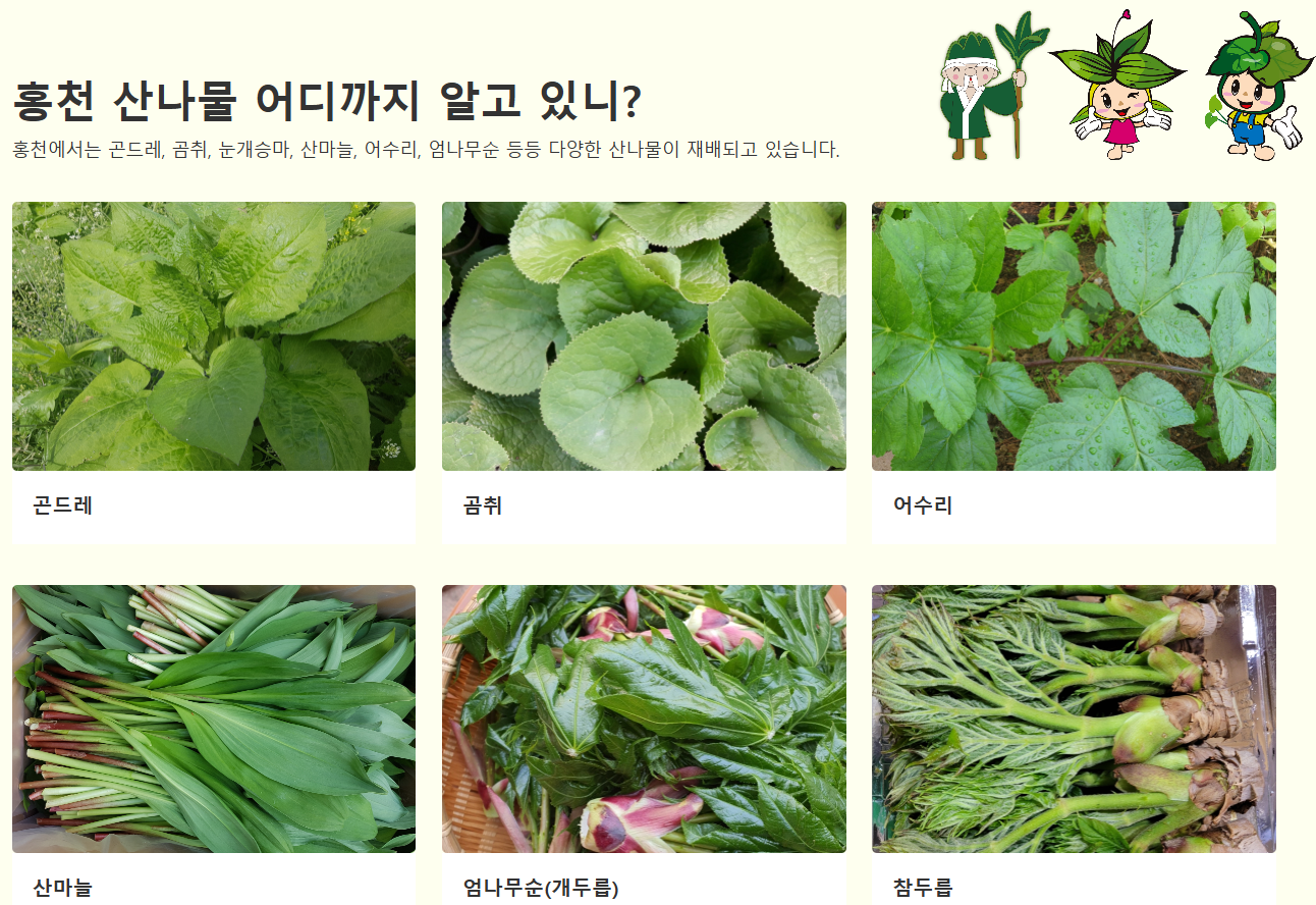 2025 제7회 강원n 홍천 산나물축제 일정 및 체험 프로그램 총정리(5/3~5/5)