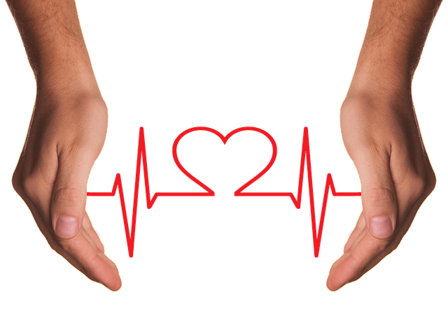 대마 종자유 효능과 먹는법 총정리